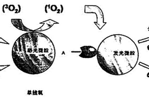 乙型肝炎病毒E抗体检测试剂盒及检测方法