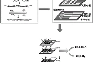 电化学免疫传感器及其制备方法