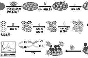 基于RGO-CS-Hemin@Pt NPs纳米材料和适配体检测GPC3的方法