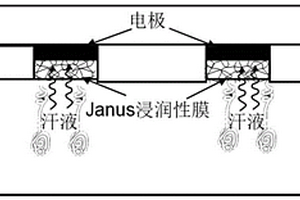 胶带基电化学汗液传感器
