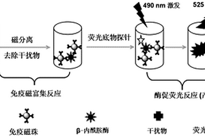 检测奶制品中β-内酰胺酶的方法