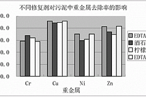 用于去除剩余污泥中重金属的电化学方法