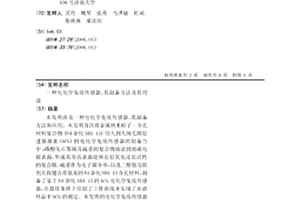 电化学免疫传感器、其制备方法及其用途