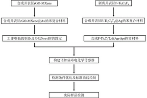 诺如病毒检测探针及试剂盒、一种检测诺如病毒的方法