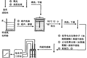 生物化学传感器的制备方法
