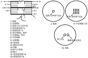基于消除小分子电极的电化学装置