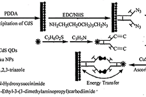 基于光电化学传感的Cu2+检测方法