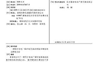 用于发电厂锅炉化学清洗的复合钝化剂及钝化方法