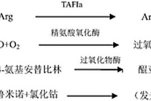 TAFIa含量的检测方法、用于检测TAFIa含量的试剂盒及二者的应用