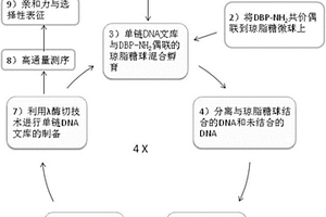 邻苯二甲酸酯类增塑剂单链DNA核酸适配体及其筛选与表征方法及电化学传感器