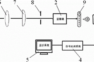 生物组织光声循环肿瘤细胞检测诊断装置及检测诊断方法
