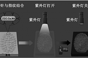 基于长余辉纳米材料的指纹检测探针及其制备方法与在潜指纹检测中的应用