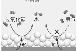 基于金属氧化物的特异性电化学传感器及其构建方法与应用