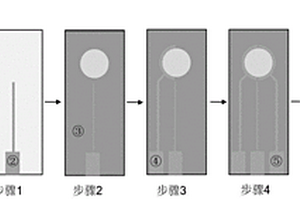 集成式光电化学传感电极及其应用