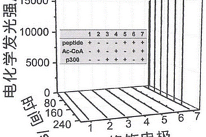 基于DNA纳米网的美杜莎式p300电化学发光传感器的制备方法及应用