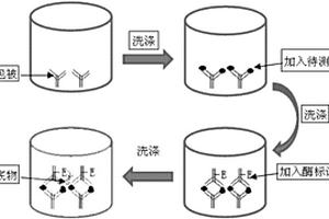 用于子宫肉瘤早中期快速诊断化学发光试剂盒