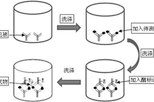 用于肺癌早中期快速诊断化学发光试剂盒