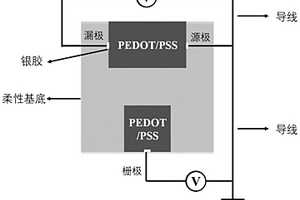 有机栅极电化学晶体管生物传感器的构筑