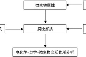 电化学-力学-微生物作用下信息的采集分析方法和系统