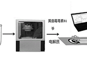 仿生肝小叶微组织电化学传感器的制备方法及应用