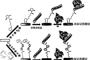 鉴别靶存在情况的电化学方法和装置