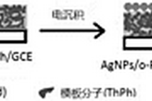 基于电化学沉积与分子印迹的表面增强拉曼光谱传感器及其制备方法
