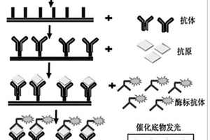 利用聚多巴胺生物检测表面进行抗原检测的方法及应用