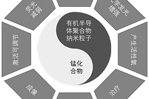 化学发光体系及其制备方法和应用