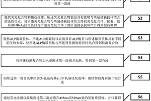 用于检测HBsAg抗原蛋白的荧光检测方法及试剂盒