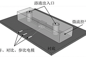 微流控超声电化学片上实验室分析平台