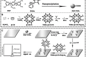 抗体复合物、生物传感器及SARS-CoV-2的ECL检测平台和检测方法