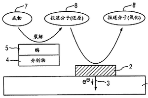 用于测定分析物 -酶复合物或者分析物 -酶轭合物浓度、特别是电化学检测分析物用的方法和装置,以及附属测量装置