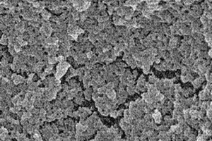 氯霉素的特异性分子印迹聚合物、化学发光试剂盒、检测方法及应用