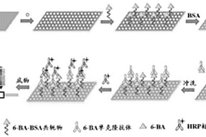 检测细胞分裂素6-BA的化学发光免疫传感器的制备方法及其分析方法