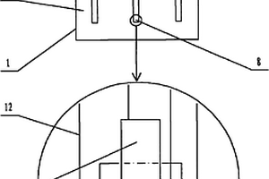 基于特种工作电极的电致化学发光分析检测装置