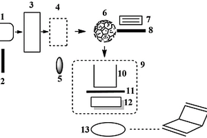 光致化学发光分析仪器