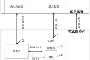 电化学发光免疫分析系统及方法