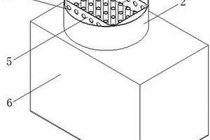 适用于化学发光免疫分析仪的磁微粒化学发光检测装置