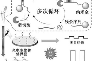 缺陷调控半导体的光电化学核酸分析方法