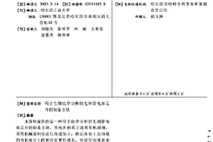 用于生物化学分析的毛细管电泳芯片的制备方法