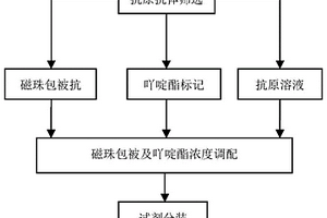 检测风疹病毒IgM抗体的化学发光免疫分析试剂盒