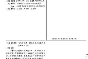 电化学检测-微流控芯片及制作方法和再生方法