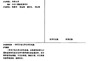 用于电化学分析的电极