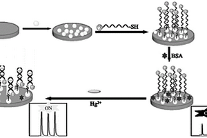 检测Hg<Sup>2+</Sup>的自增强电化学发光适配体传感器的制备方法