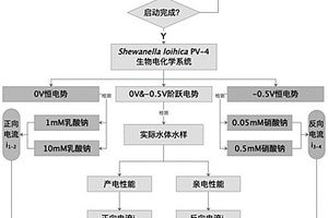 基于双向电子传递电化学活性微生物同步检测水体中生化需氧量和硝态氮含量的方法