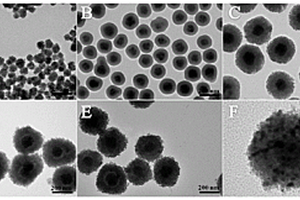 基于超顺磁Fe<Sub>3</Sub>O<Sub>4</Sub>@void@TiO<Sub>2</Sub>原位构建银离子的光电化学检测方法