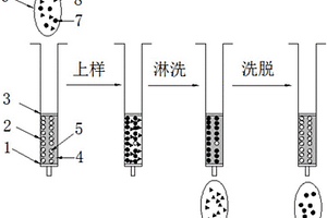 分子印迹固相萃取-液质联用检测膝沟藻毒素的分析方法