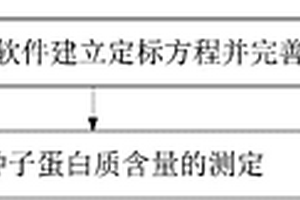 检测分析水稻籽粒蛋白质含量数学模型及构建方法和应用