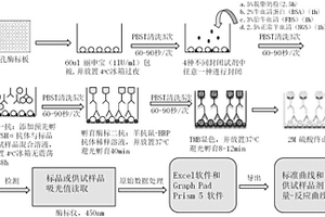 检测与量化人促卵泡激素体外生物学活性的同源竞争酶联免疫分析法