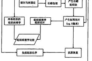 化学交联的细胞样品的分析
